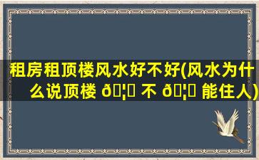 租房租顶楼风水好不好(风水为什么说顶楼 🦟 不 🦟 能住人)